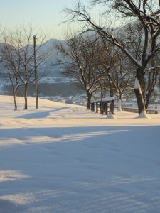 IMG_2317