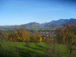 November 2010 184