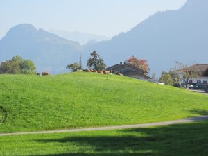 Umgebung
